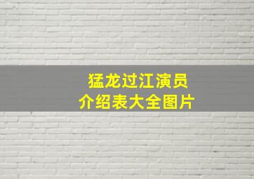 猛龙过江演员介绍表大全图片