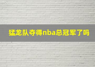 猛龙队夺得nba总冠军了吗