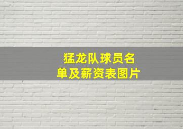 猛龙队球员名单及薪资表图片