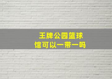 王牌公园篮球馆可以一带一吗