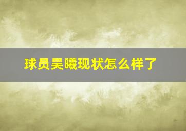 球员吴曦现状怎么样了