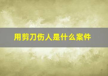 用剪刀伤人是什么案件