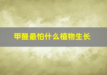 甲醛最怕什么植物生长