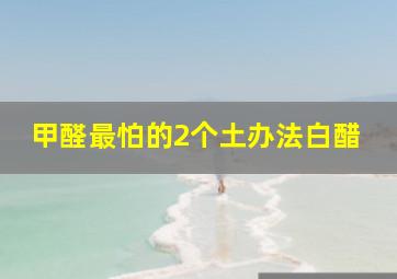 甲醛最怕的2个土办法白醋