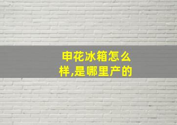 申花冰箱怎么样,是哪里产的