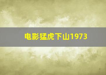 电影猛虎下山1973