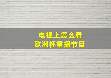 电视上怎么看欧洲杯重播节目