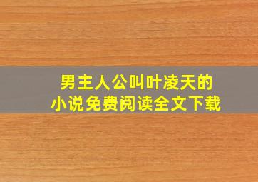 男主人公叫叶凌天的小说免费阅读全文下载