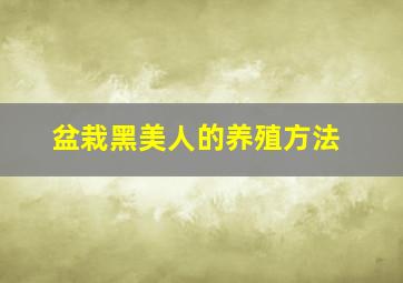 盆栽黑美人的养殖方法