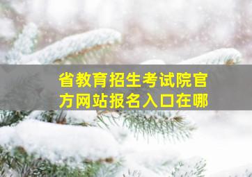 省教育招生考试院官方网站报名入口在哪