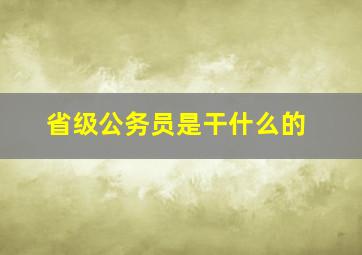 省级公务员是干什么的