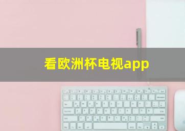 看欧洲杯电视app