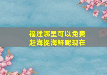 福建哪里可以免费赶海捉海鲜呢现在