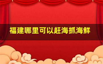 福建哪里可以赶海抓海鲜