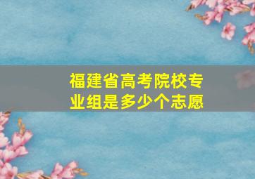 福建省高考院校专业组是多少个志愿