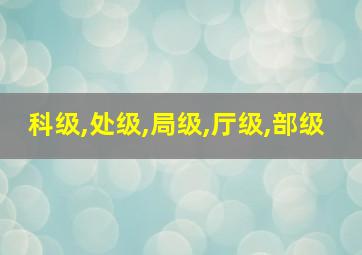 科级,处级,局级,厅级,部级