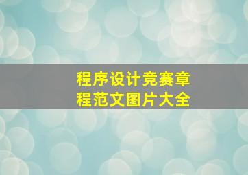 程序设计竞赛章程范文图片大全