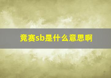 竞赛sb是什么意思啊