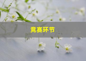 竞赛环节