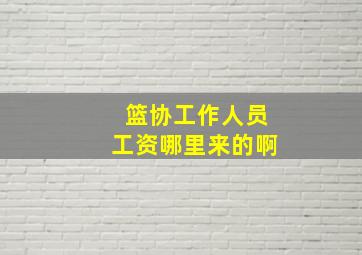 篮协工作人员工资哪里来的啊