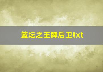 篮坛之王牌后卫txt