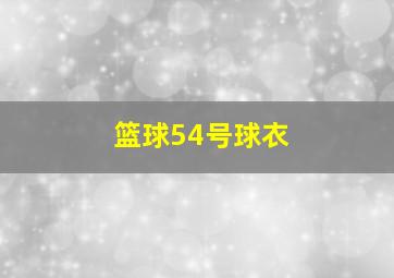 篮球54号球衣