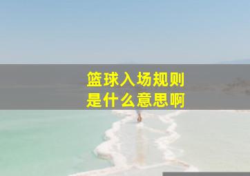 篮球入场规则是什么意思啊