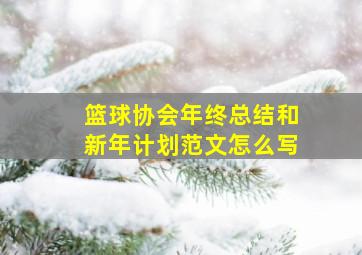 篮球协会年终总结和新年计划范文怎么写