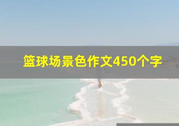 篮球场景色作文450个字