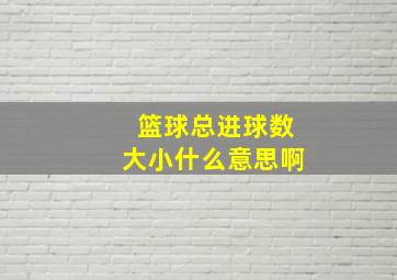 篮球总进球数大小什么意思啊