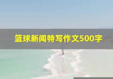 篮球新闻特写作文500字