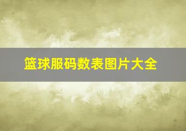 篮球服码数表图片大全