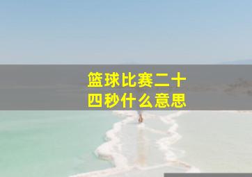 篮球比赛二十四秒什么意思