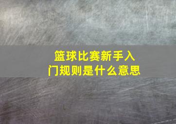 篮球比赛新手入门规则是什么意思