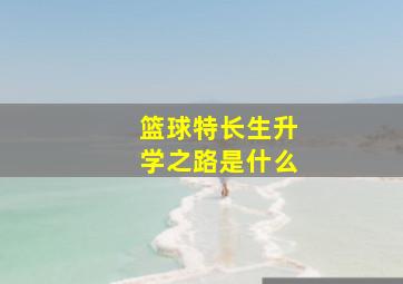 篮球特长生升学之路是什么