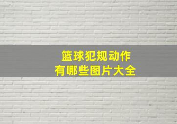 篮球犯规动作有哪些图片大全