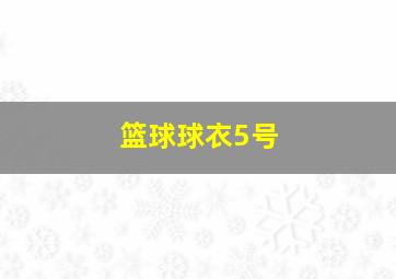 篮球球衣5号