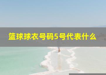 篮球球衣号码5号代表什么