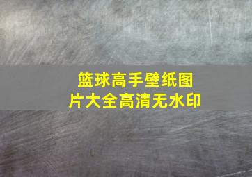 篮球高手壁纸图片大全高清无水印