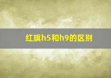 红旗h5和h9的区别