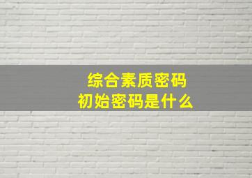 综合素质密码初始密码是什么