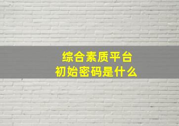 综合素质平台初始密码是什么