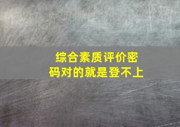 综合素质评价密码对的就是登不上