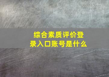 综合素质评价登录入口账号是什么