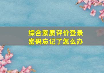 综合素质评价登录密码忘记了怎么办