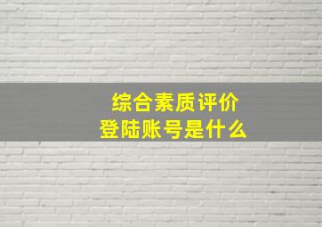 综合素质评价登陆账号是什么