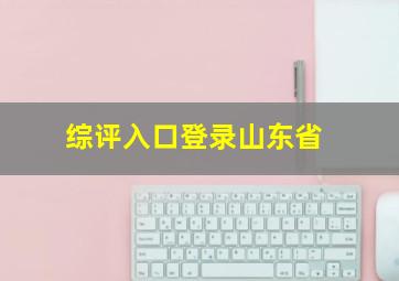 综评入口登录山东省