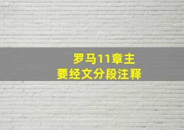 罗马11章主要经文分段注释