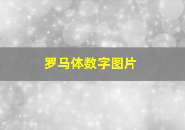 罗马体数字图片