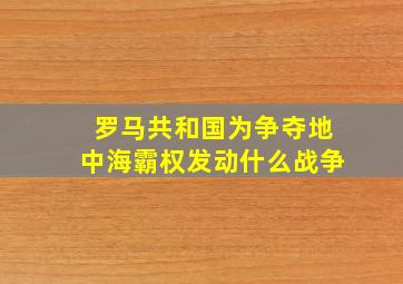 罗马共和国为争夺地中海霸权发动什么战争